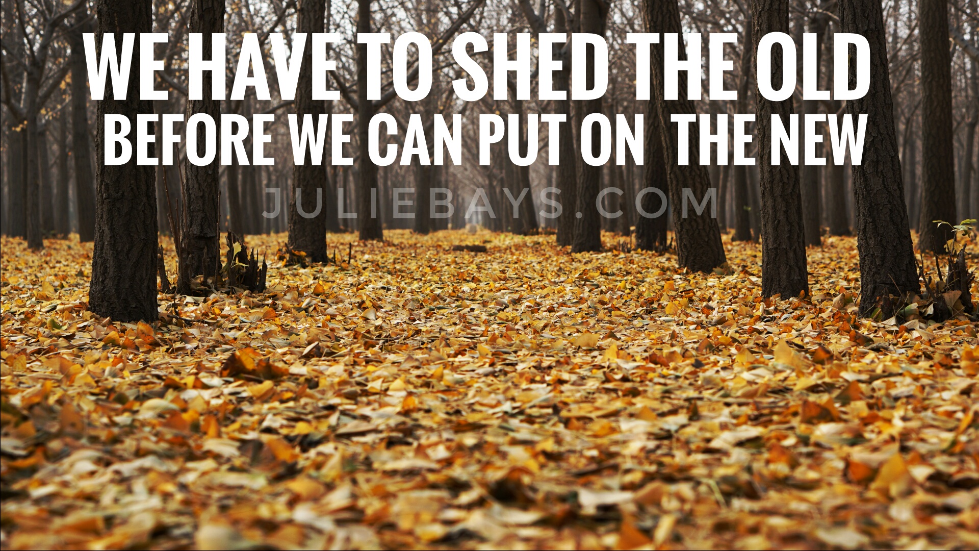 Shed the Old, Put on the New